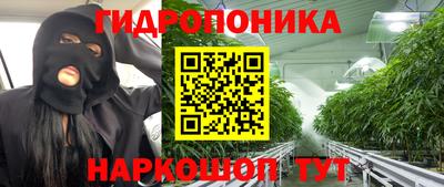ПСИЛОЦИБИНОВЫЕ ГРИБЫ Кулебаки