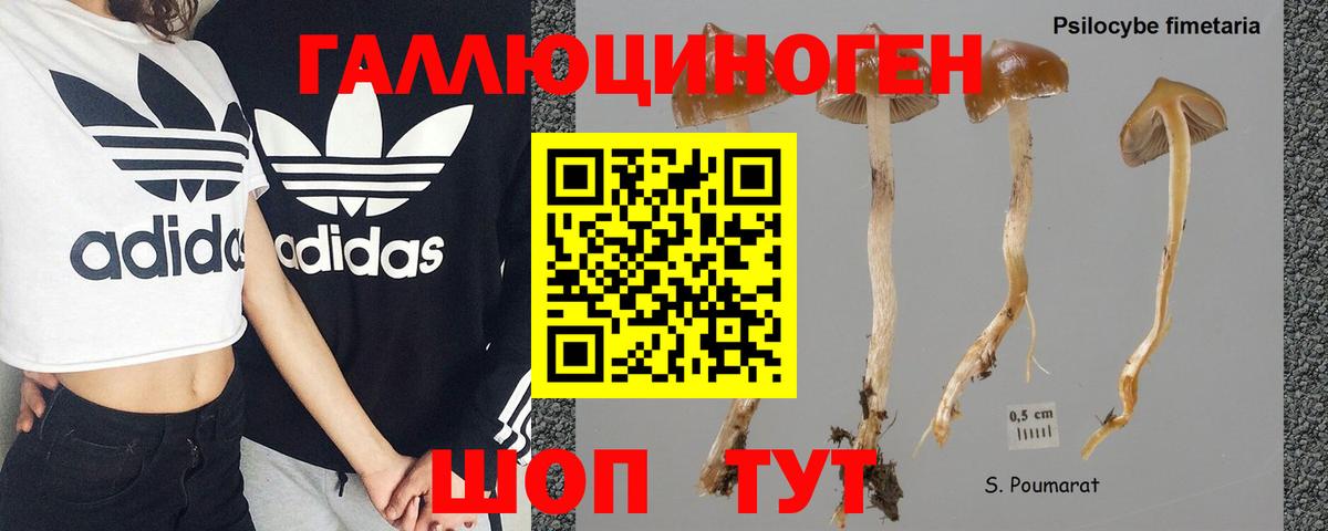 Псилоцибиновые грибы MAGIC MUSHROOMS Изобильный