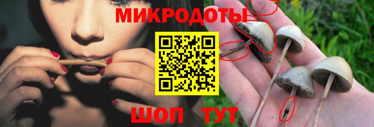 Галлюциногенные грибы мухоморы  Вход с VPN  Изобильный 